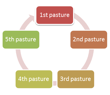 Pasture Rotation